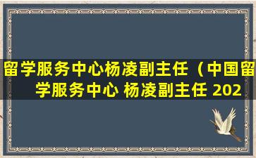 留学服务中心杨凌副主任（中国留学服务中心 杨凌副主任 2024）